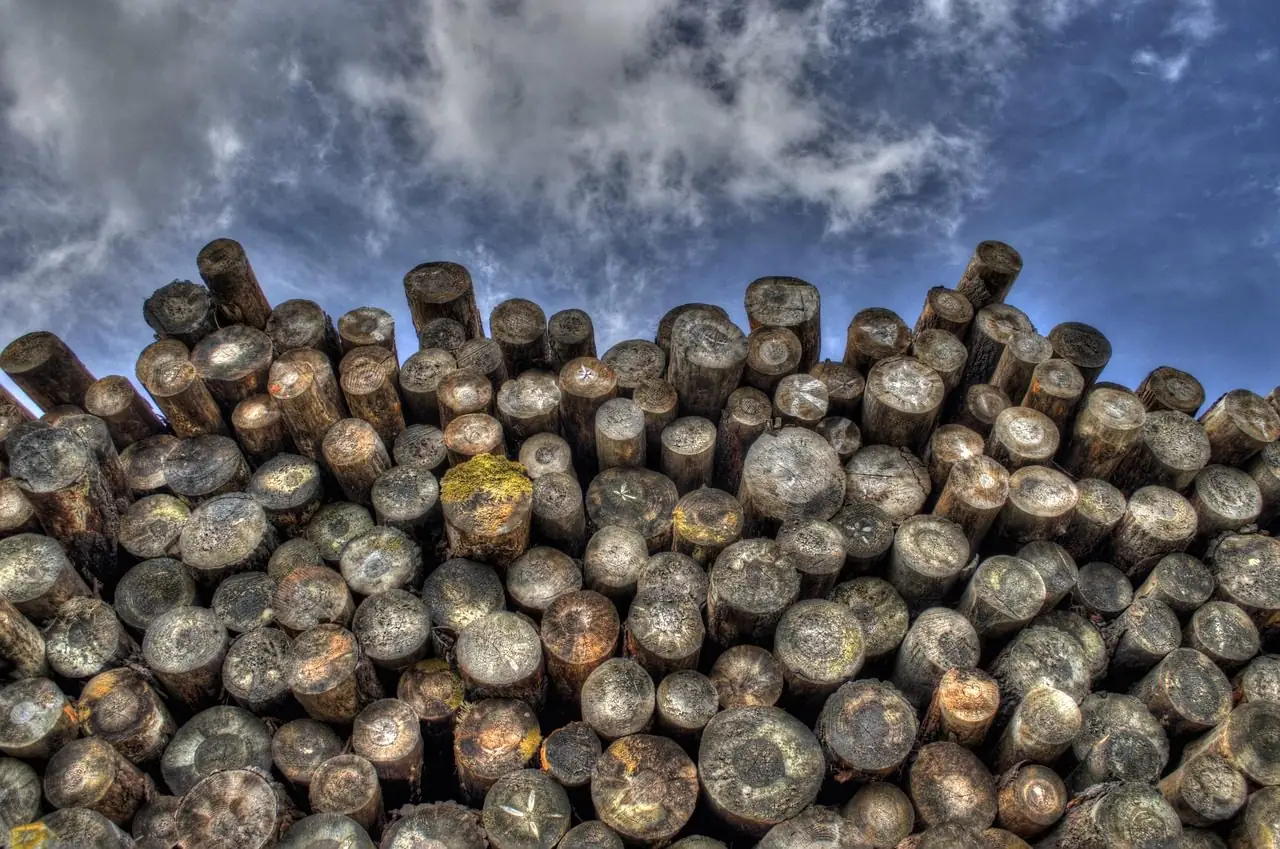 Large pile of cut round logs stacked under a cloudy sky