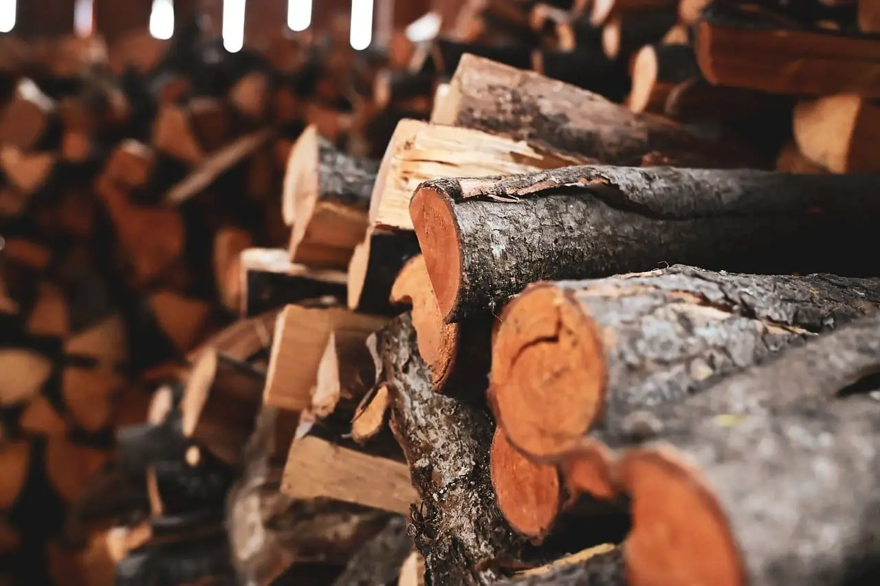 Stack of cut logs and split firewood with fresh orange-brown ends